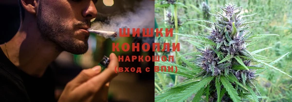 прущие грибы Алексеевка