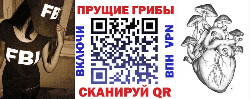 Псилоцибиновые грибы Psilocybe  Асино 